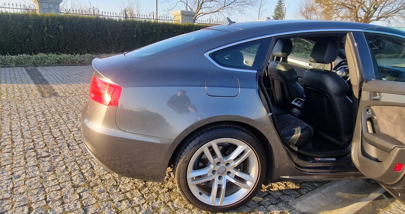 Audi A5 cena 69900 przebieg: 221647, rok produkcji 2016 z Bydgoszcz małe 781